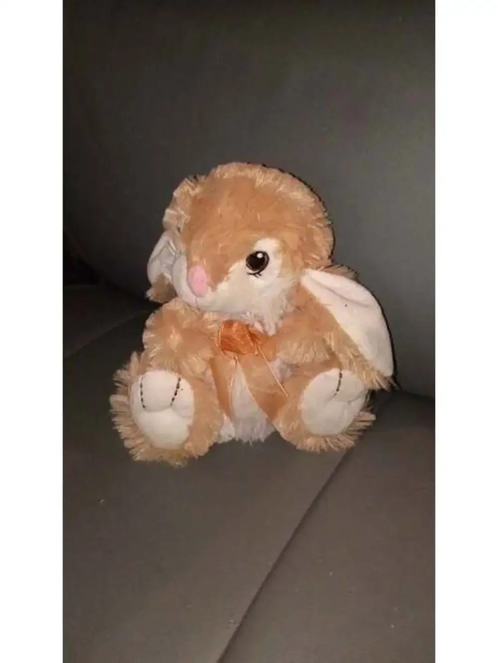 Little rabbit stuffed animal